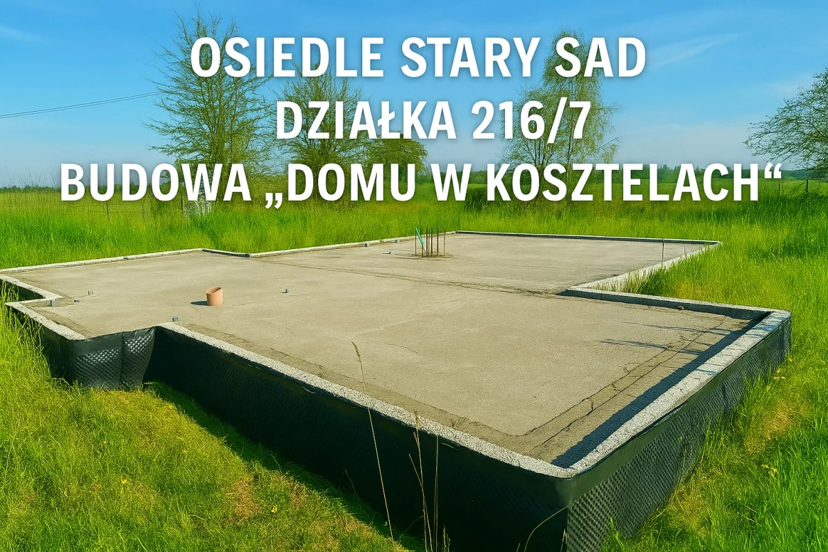 833320 - zdjęcie nr 4