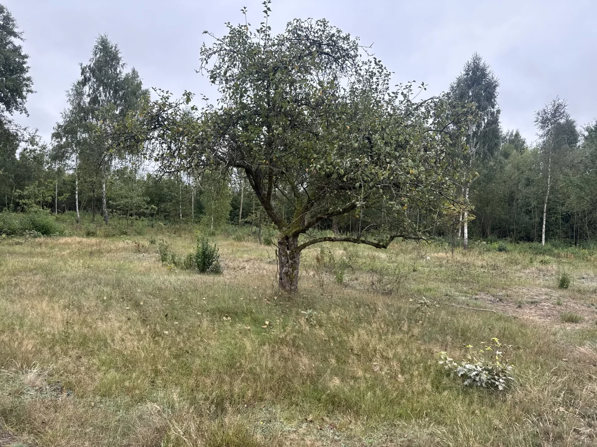 Działka 1 689,00 m², oferta nr , 833320, Nasielsk, Topolowa
