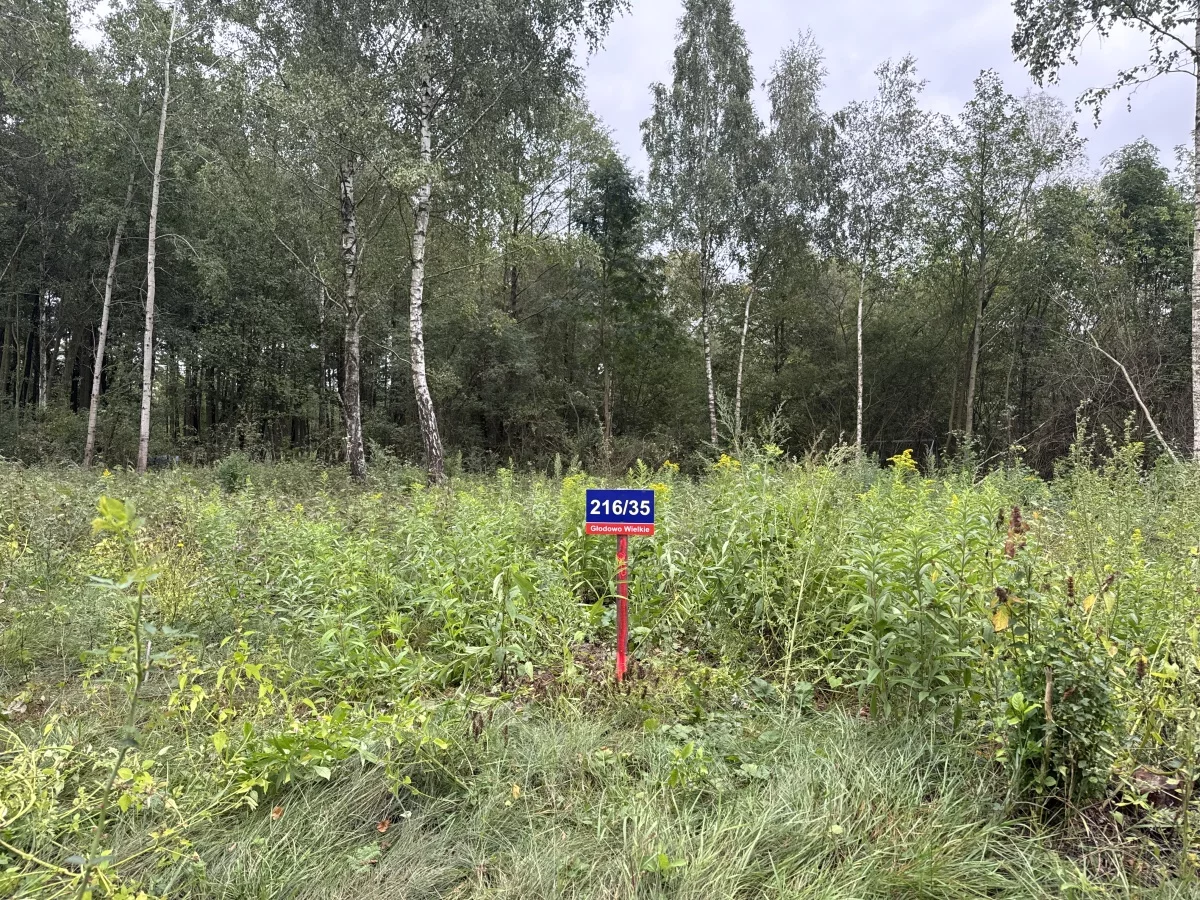 Działka 1 689,00 m², oferta nr , 833320, Nasielsk, Topolowa