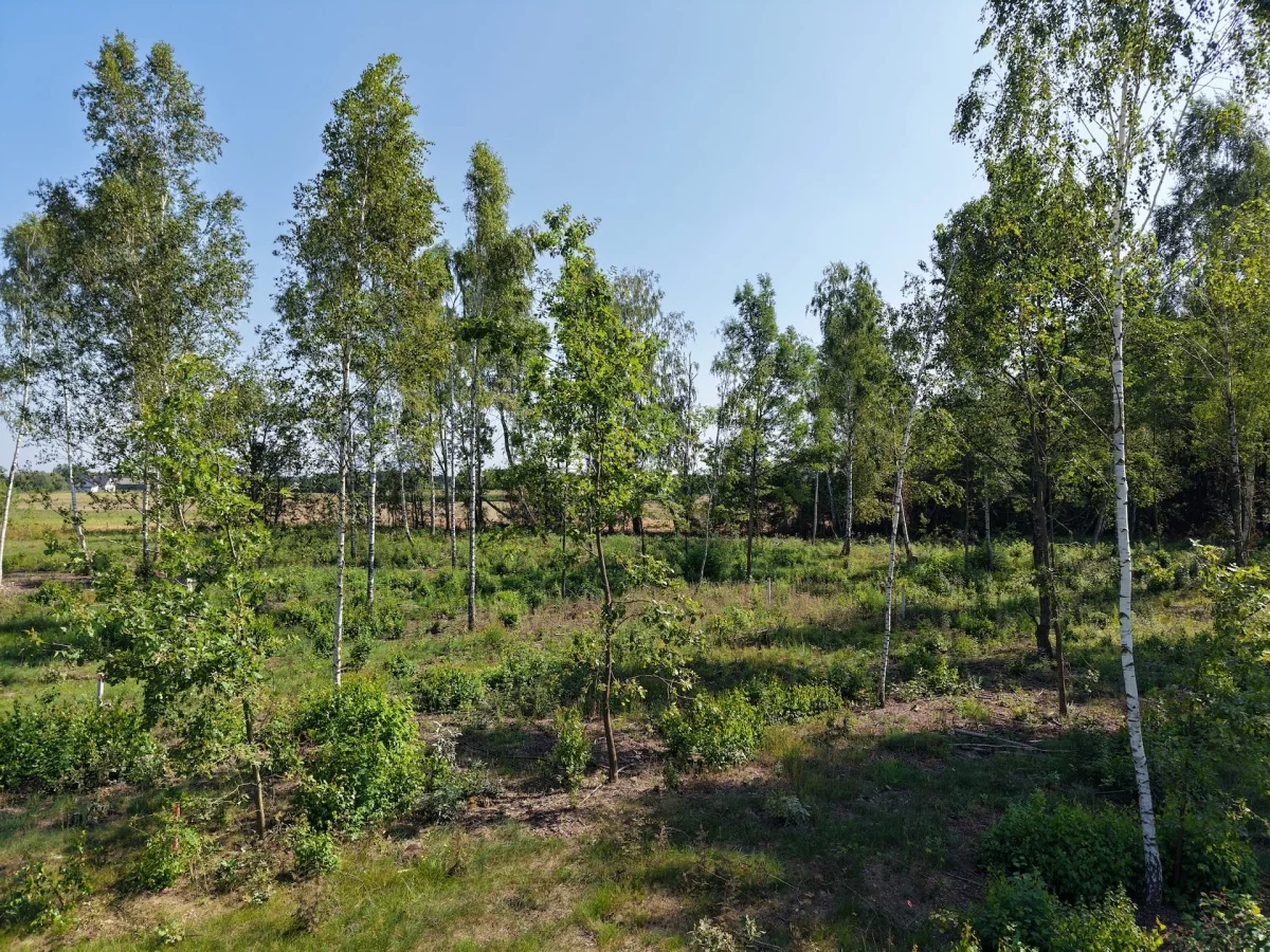 Działka 1 689,00 m², oferta nr , 833320, Nasielsk, Topolowa