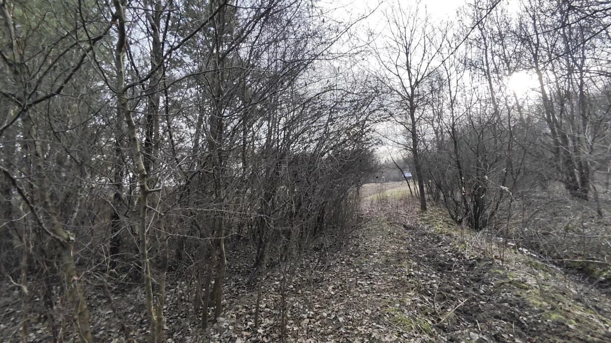 Działka 3 000,00 m², oferta nr , 833008, Wielopole