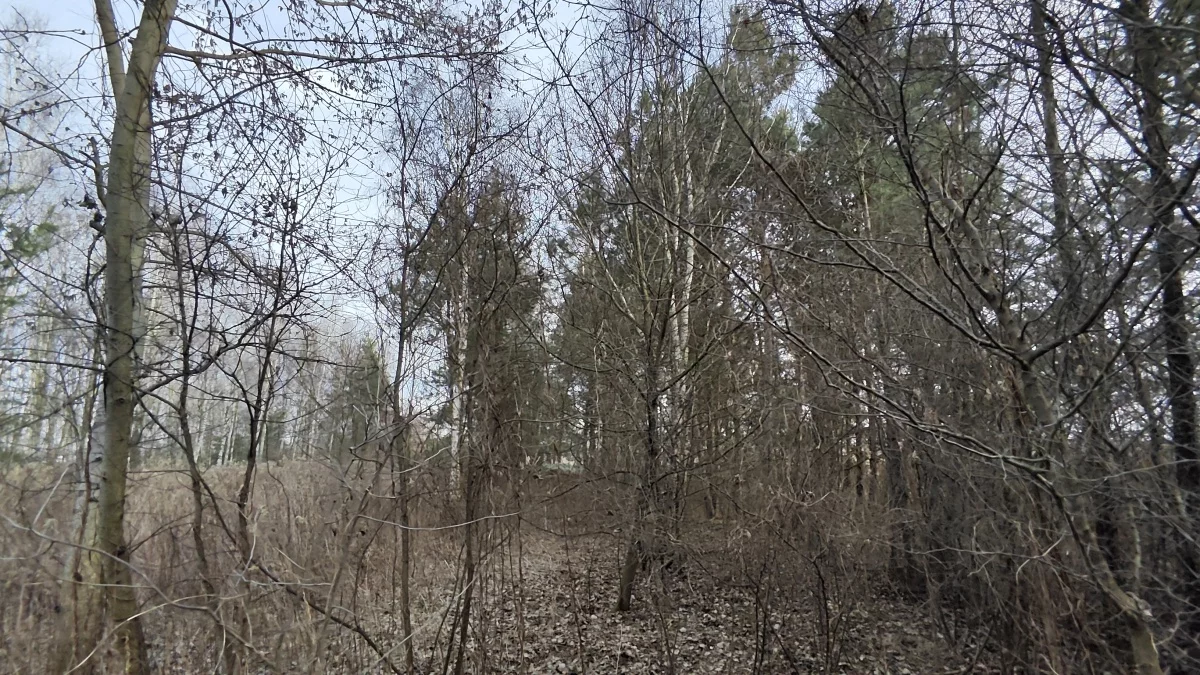 Działka 3 000,00 m², oferta nr , 833008, Wielopole