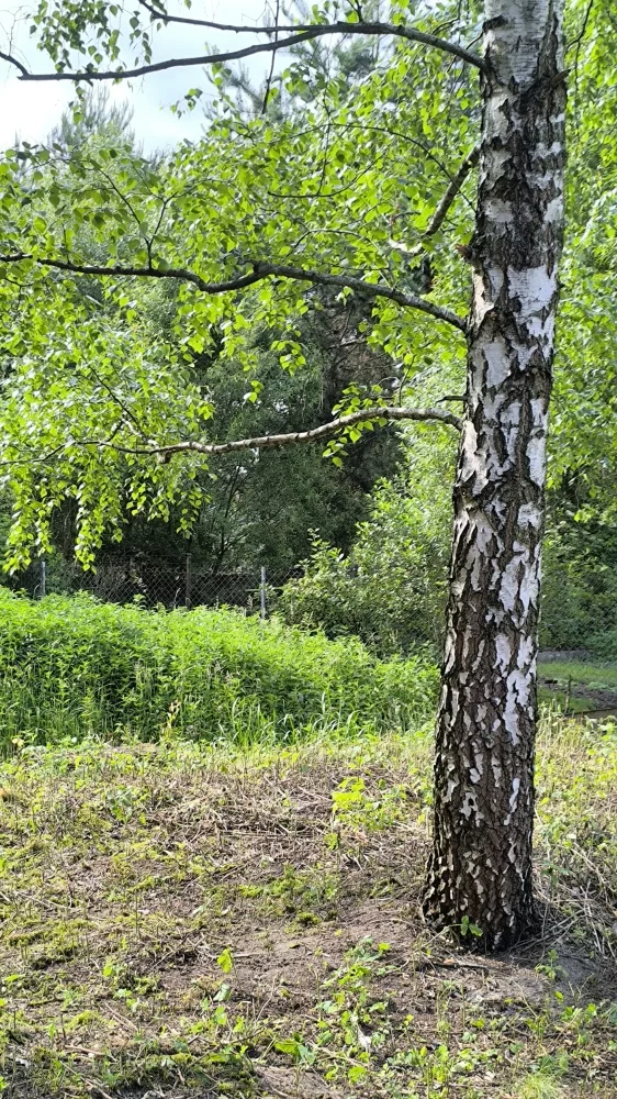 Działka 1 350,00 m², oferta nr , 833771, Henryszew, Wierzbowa