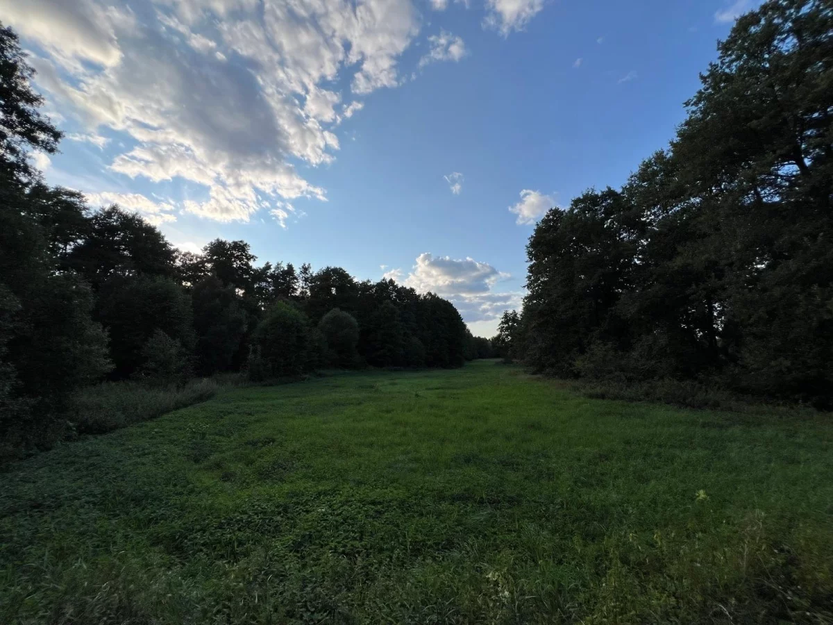 Działka 45 094,00 m², oferta nr , 827763, Wodzierady