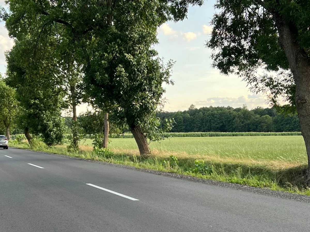 Działka 45 094,00 m², oferta nr , 827763, Wodzierady