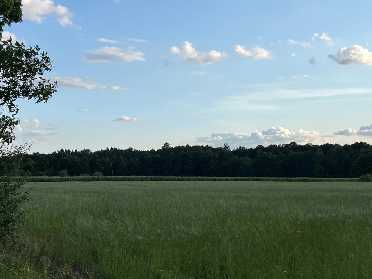 Działka 45 094,00 m², oferta nr , 827763, Wodzierady