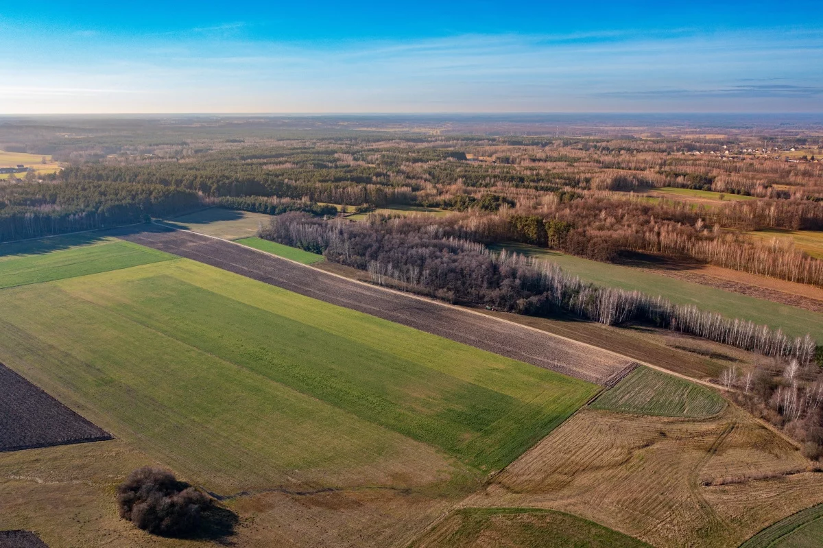 Działka 1 170,00 m², oferta nr , 831728, Wyszków