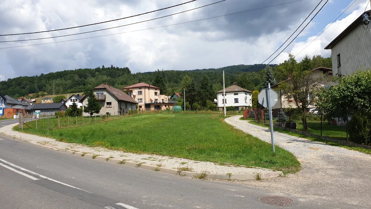 833717 - zdjęcie nr 3