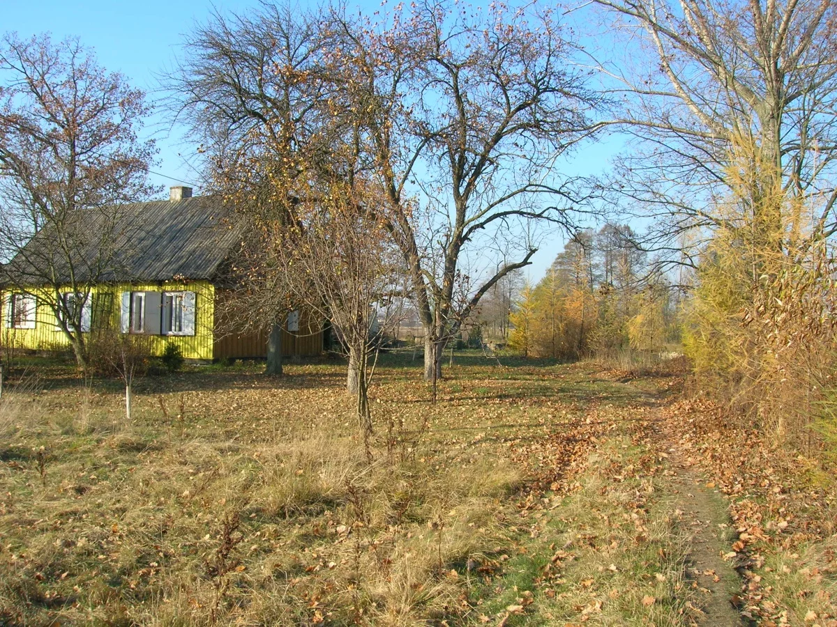 833515 - zdjęcie nr 0
