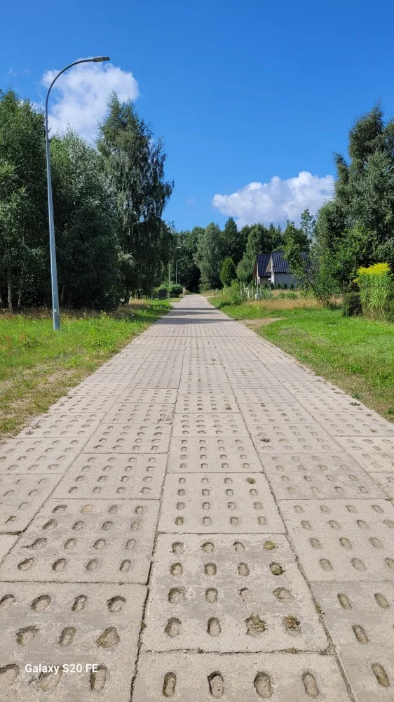 833605 - zdjęcie nr 2