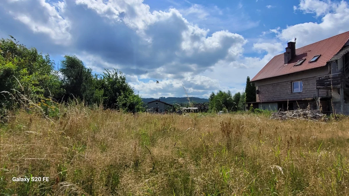 833605 - zdjęcie nr 4