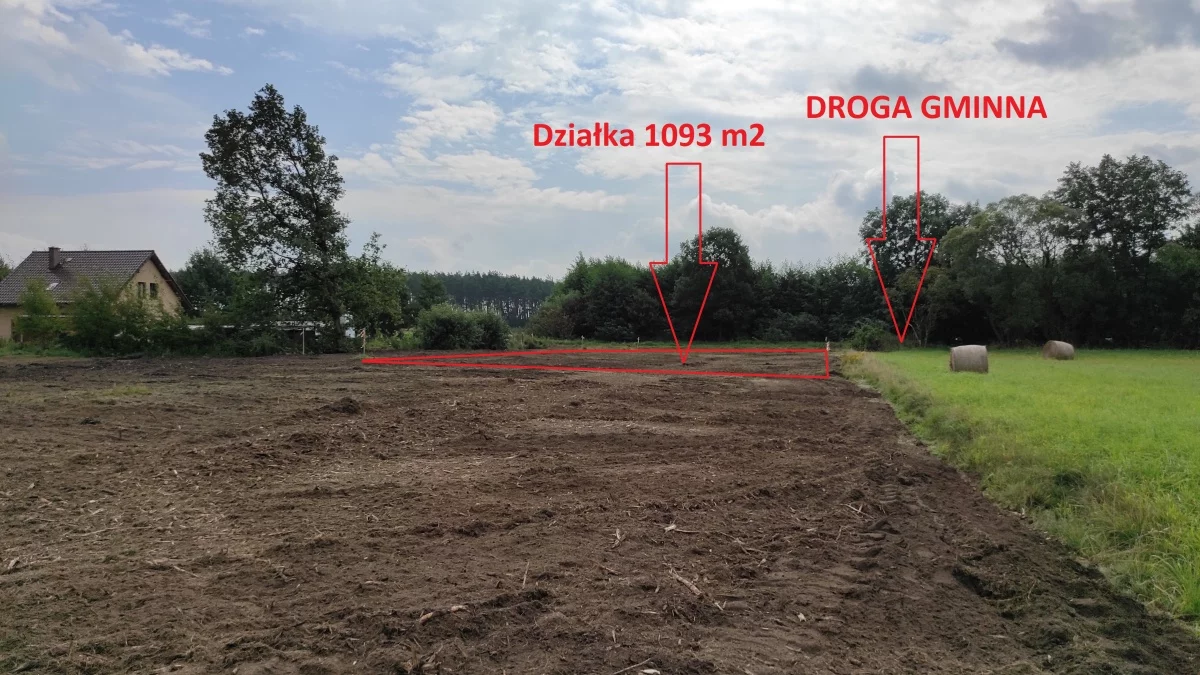 833248 - zdjęcie nr 2