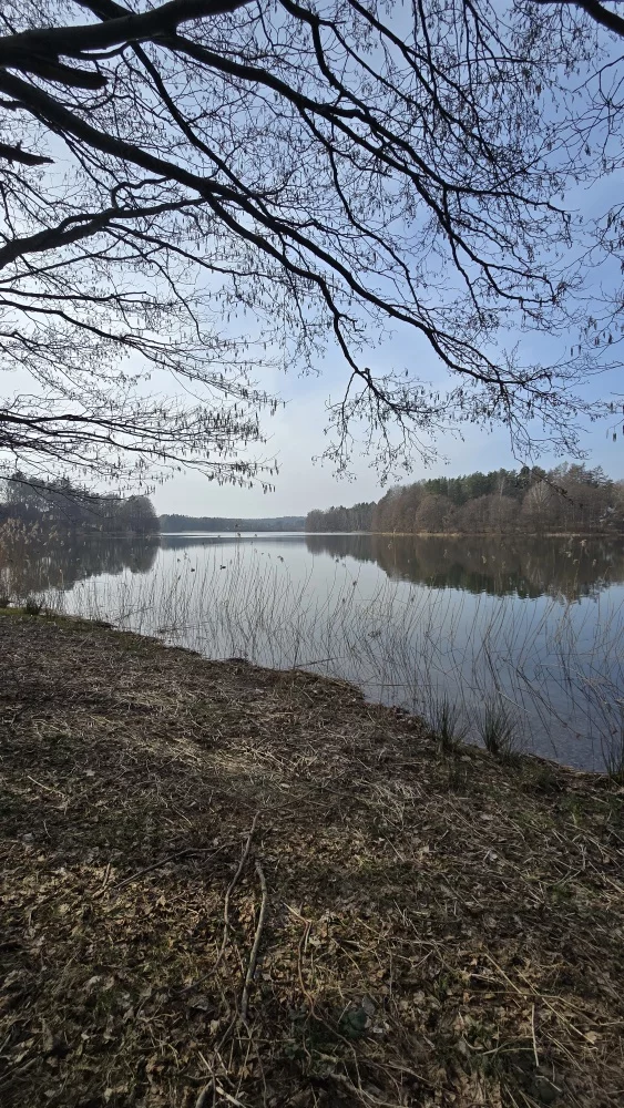 Apartamenty 832515 Żukowo