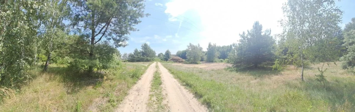 832613 - zdjęcie nr 1