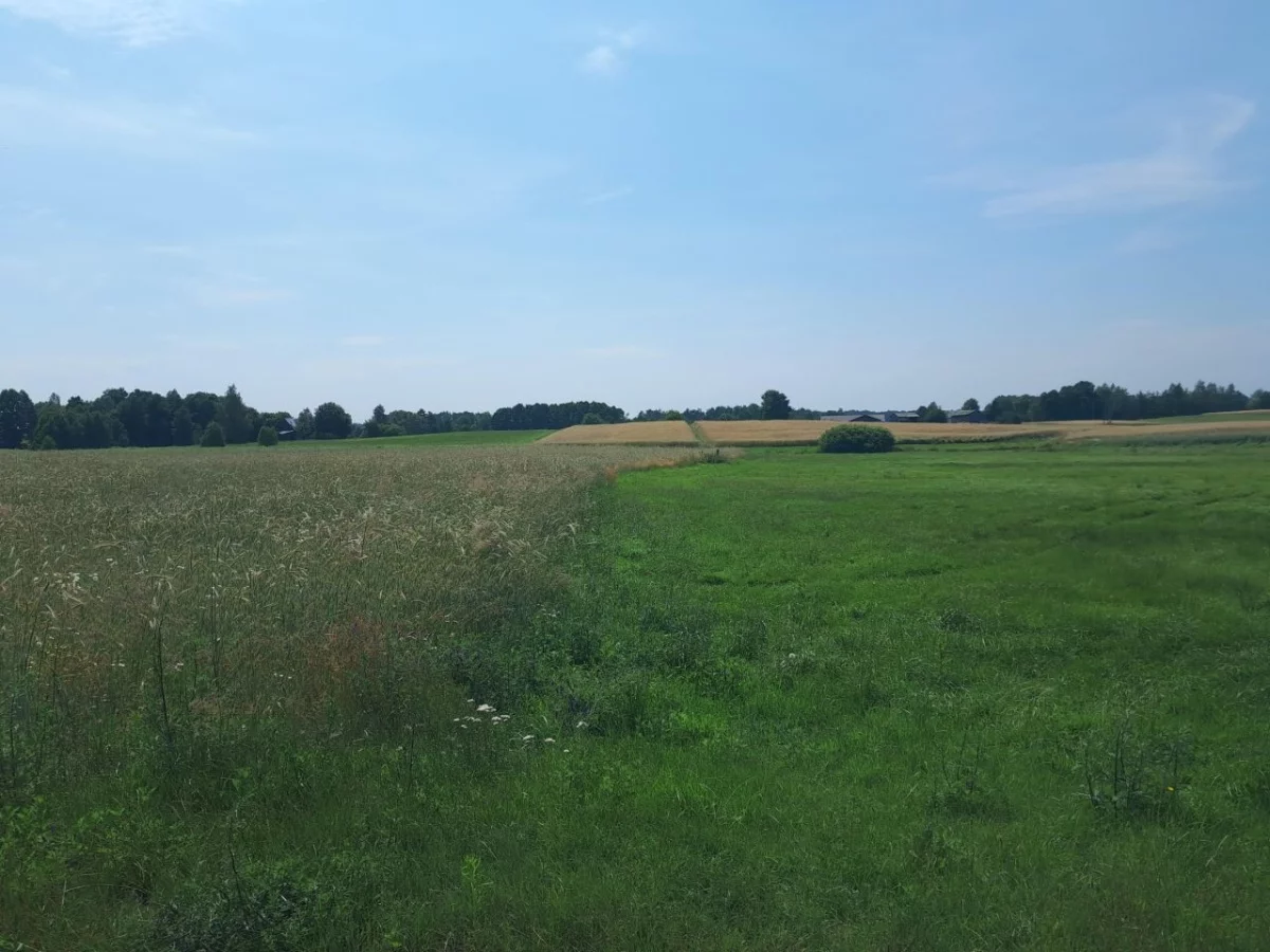 832613 - zdjęcie nr 2