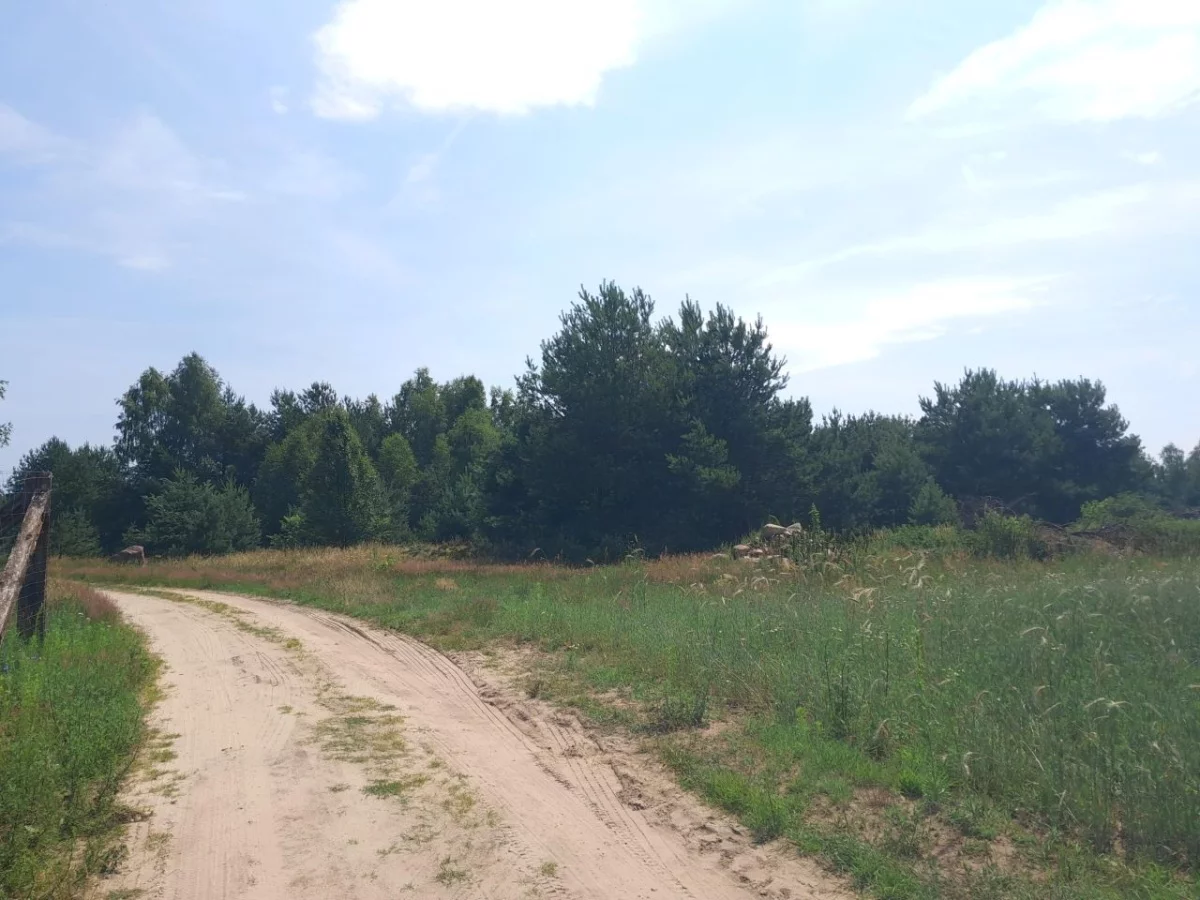 832613 - zdjęcie nr 3