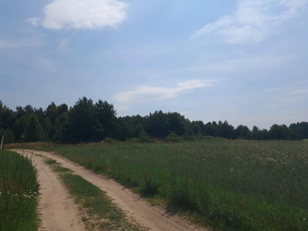 832613 - zdjęcie nr 4