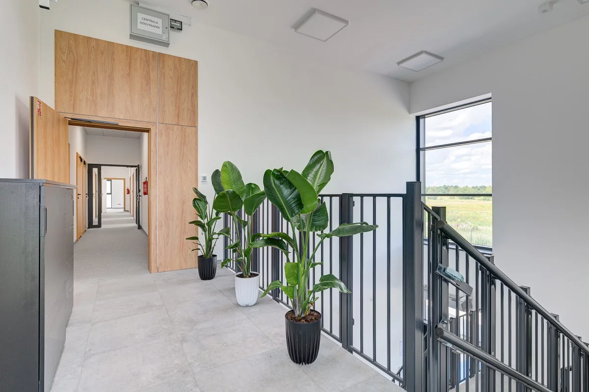Lokal użytkowy 2 694,00 m², oferta nr , 833759, Kolonia Lesznowola, Cukiernicz