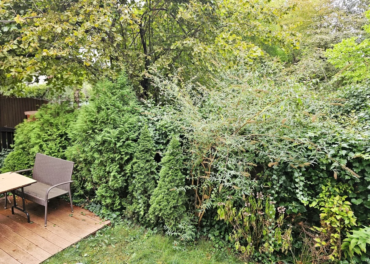 Lokal użytkowy 369,00 m², oferta nr , 833939, Warszawa, Mokotów, Mokotów, Służew