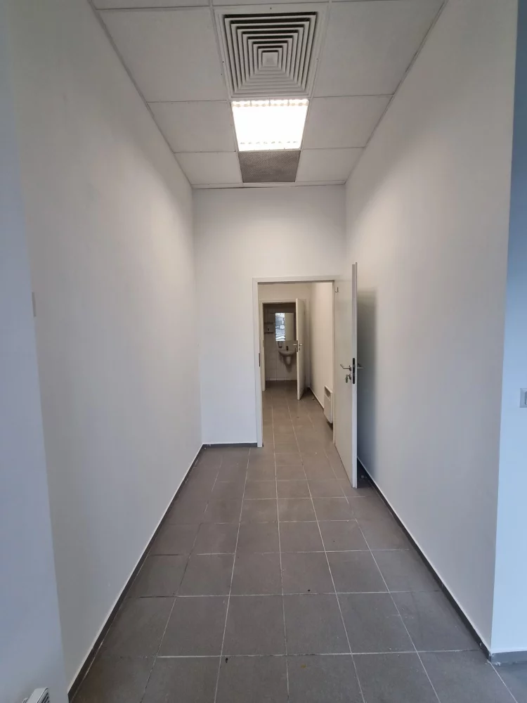 831208 - zdjęcie nr 2