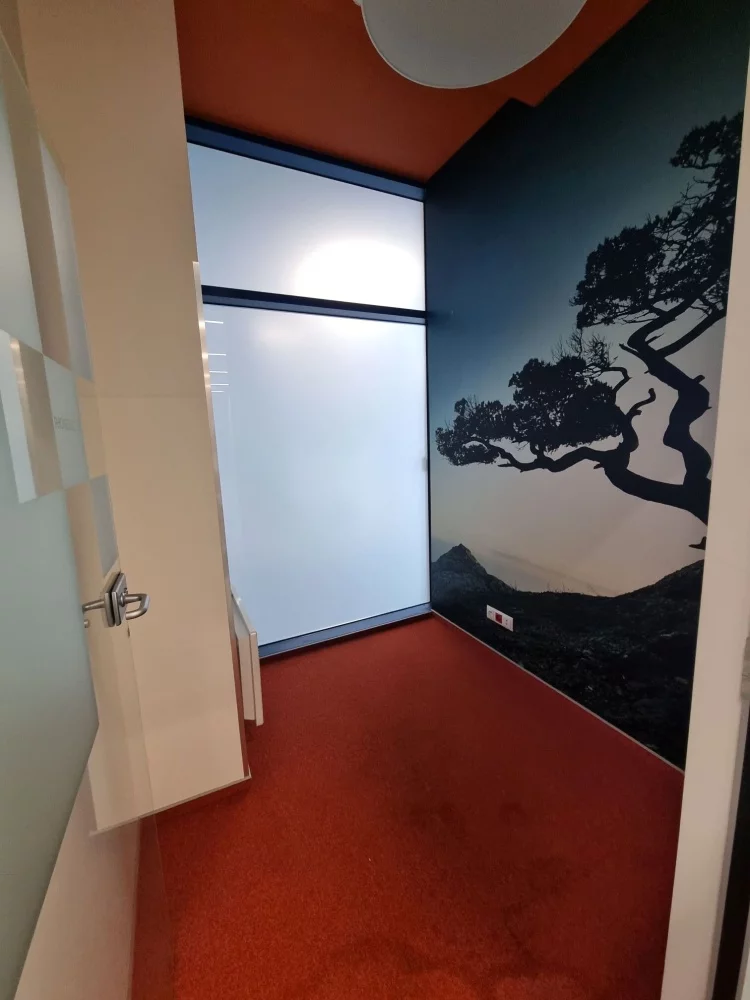Lokal użytkowy 353,00 m², oferta nr , 831211, Kraków, Podgórze, Wadowicka