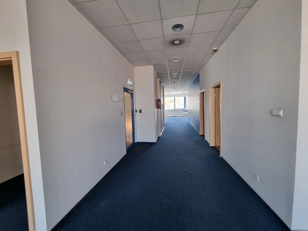 Lokal użytkowy 555,00 m², oferta nr , 833020, Kraków, Podgórze, Wadowicka