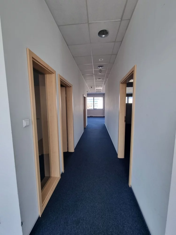 Lokal użytkowy 555,00 m², oferta nr , 833020, Kraków, Podgórze, Wadowicka