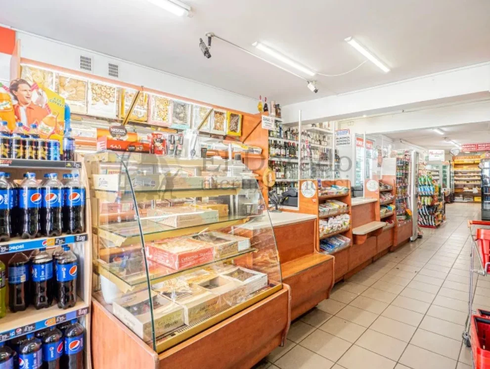 Lokal użytkowy 240,00 m², oferta nr , 834155, Środa Śląska, pl. Wolności