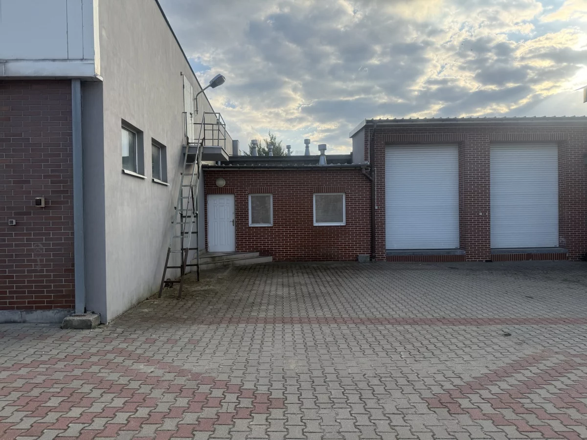 833348 - zdjęcie nr 0