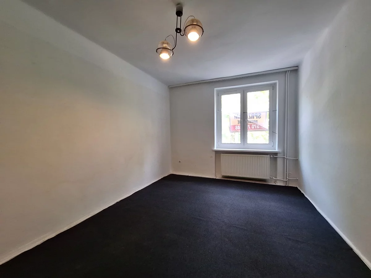 833135 - zdjęcie nr 0