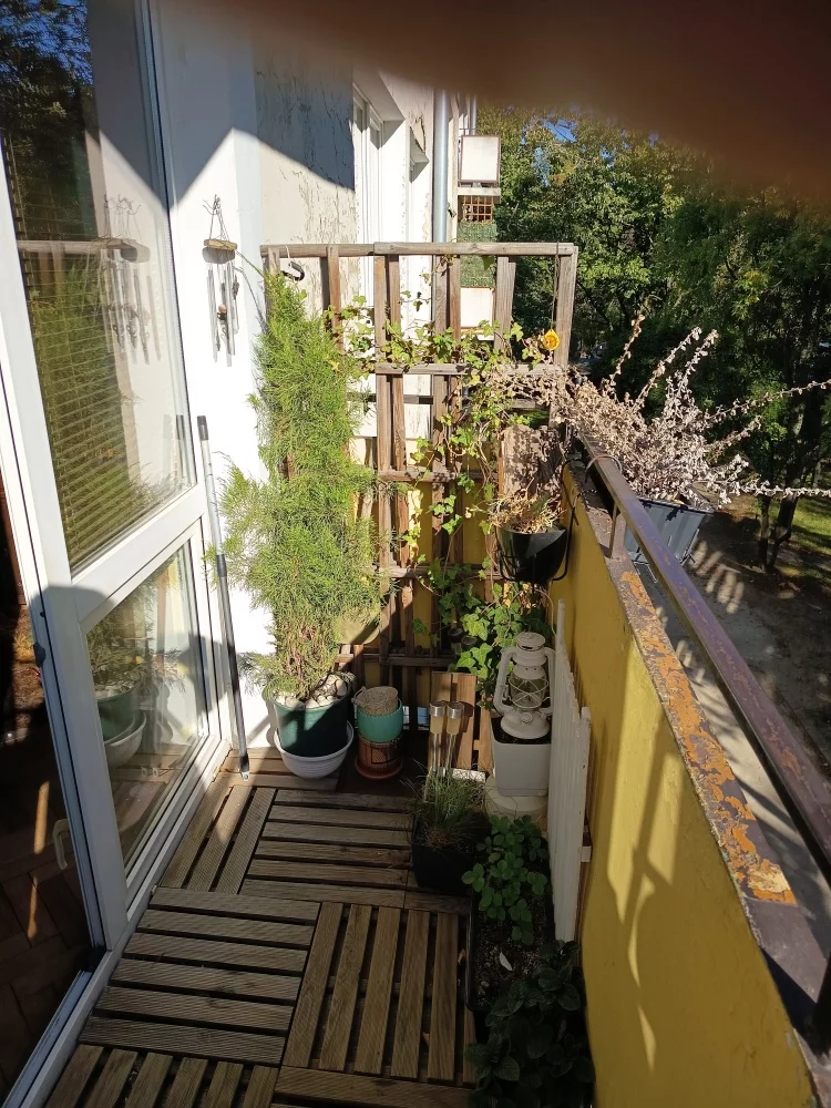 1 pokój, mieszkanie 35,00 m², piętro 2, oferta nr , 834275, Łódź, Polesie, Polesie, Karolew-Retkinia Wschód