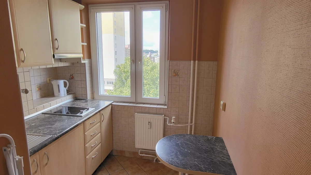 833463 - zdjęcie nr 2
