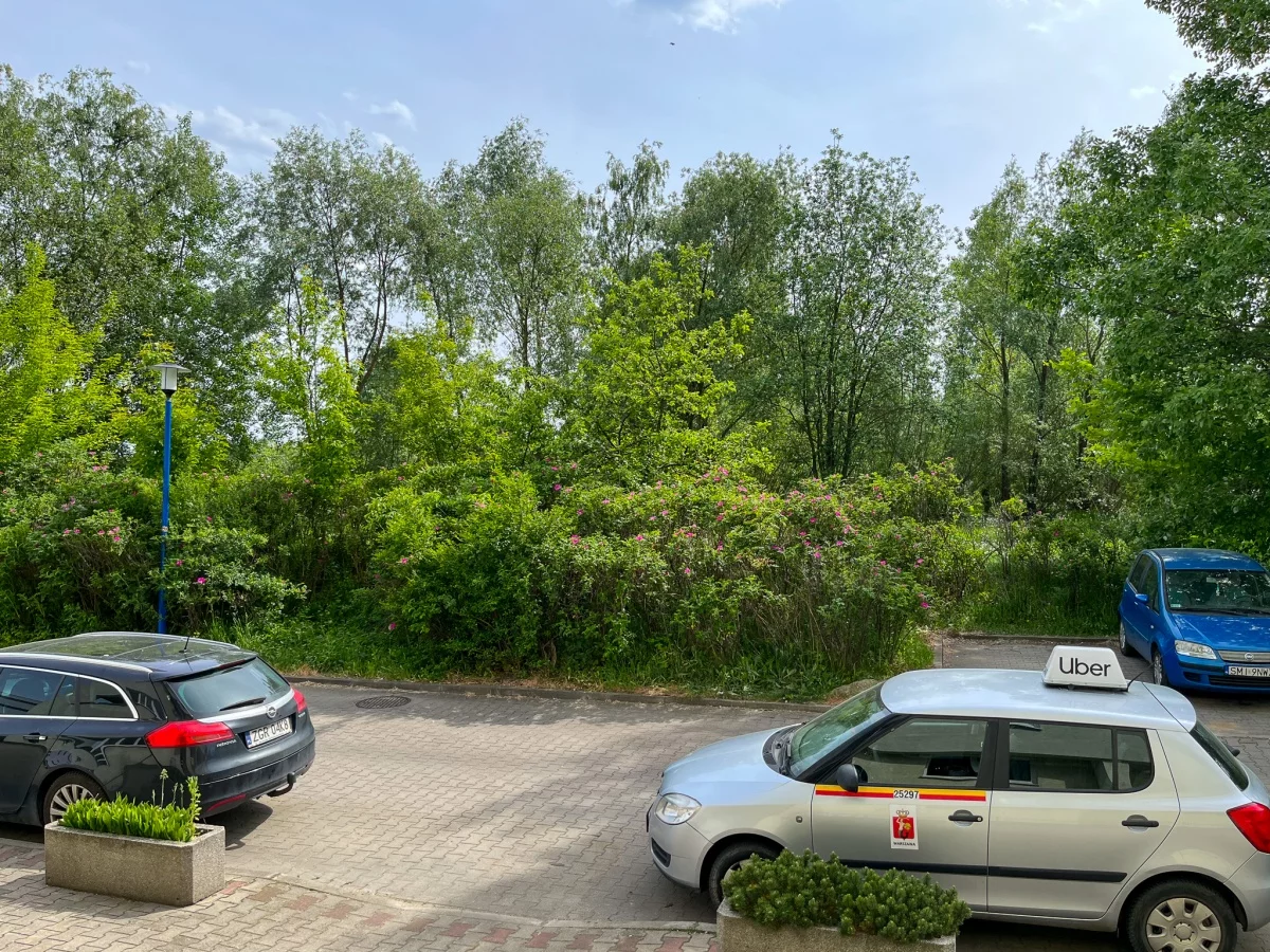 828432 - zdjęcie nr 3