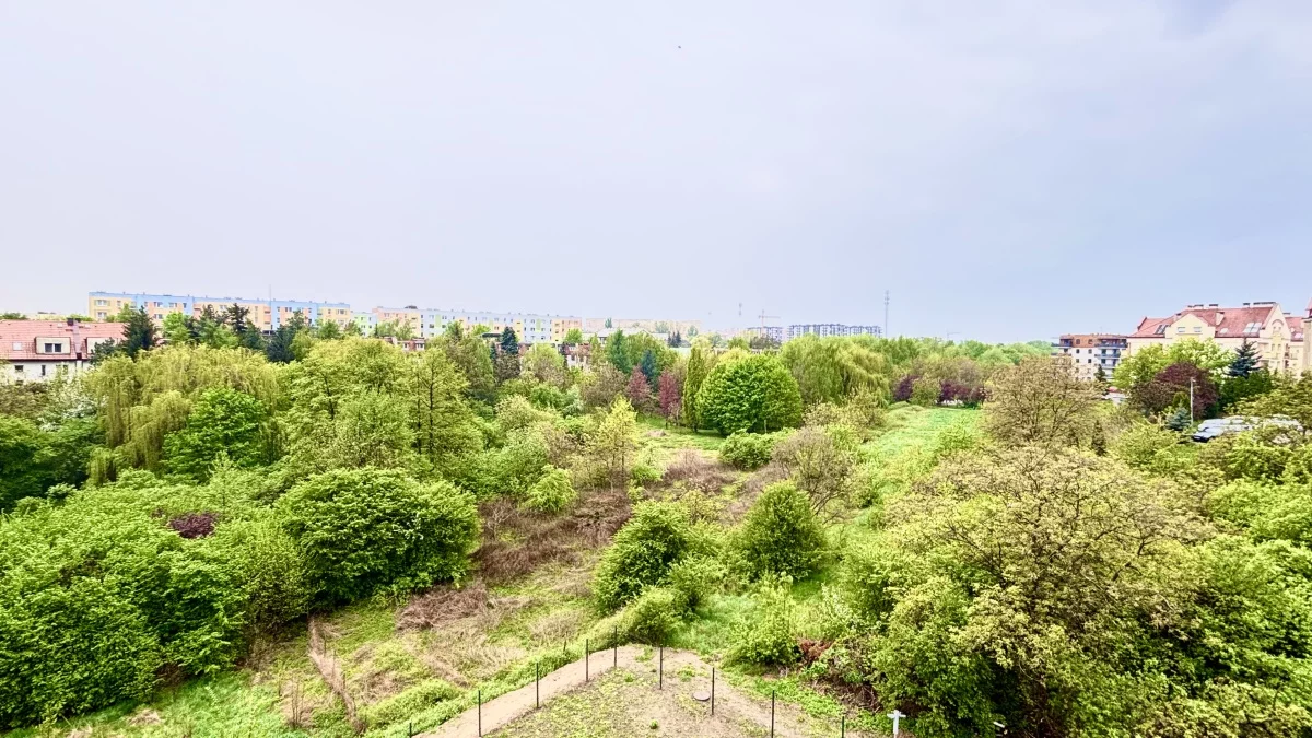 832221 - zdjęcie nr 3
