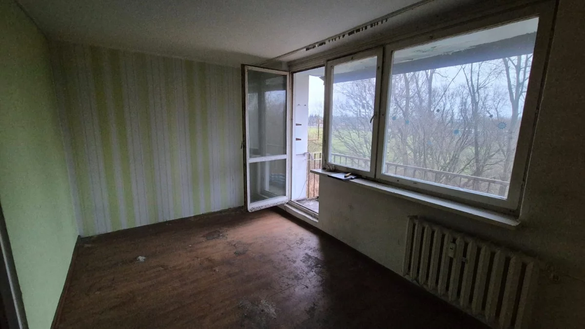 832442 - zdjęcie nr 0