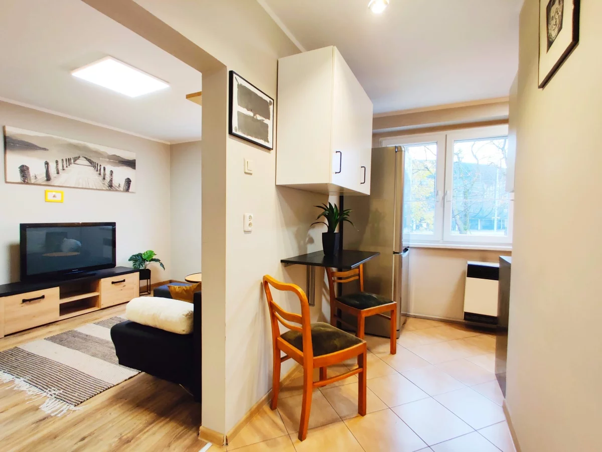1 pokój, mieszkanie 26,00 m², piętro 1, oferta nr , 833749, Zabrze, Damrota