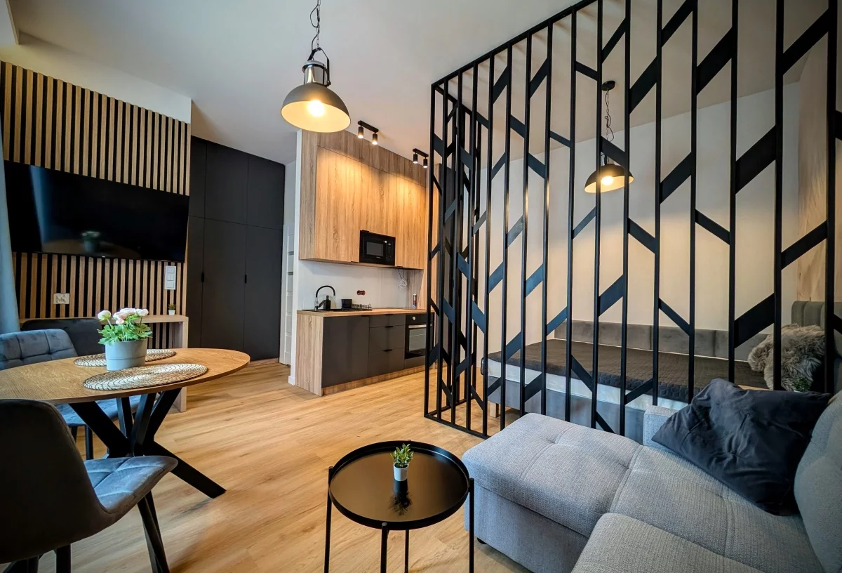 Mieszkanie jednopokojowe 28,00 m², Łódź, Nowa, Wynajem