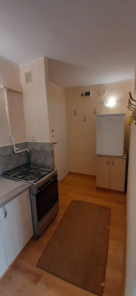 833530 - zdjęcie nr 0