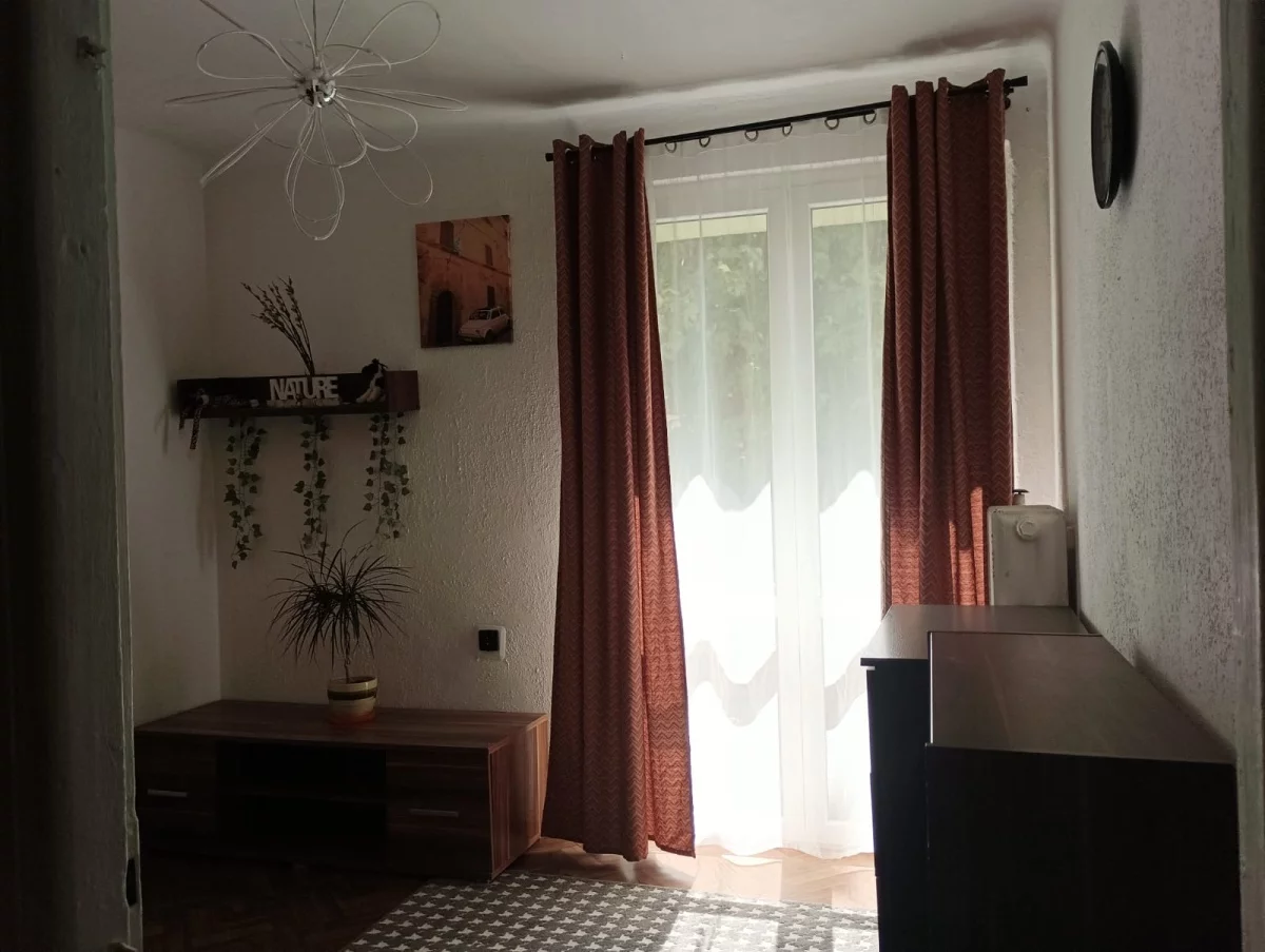 833509 - zdjęcie nr 0