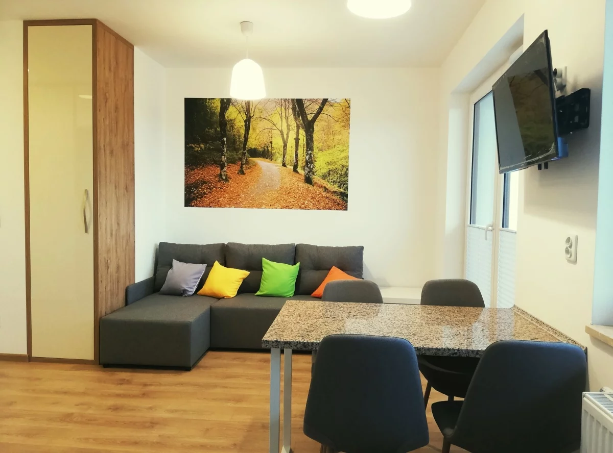 1 pokój, mieszkanie 27,00 m², piętro 7, oferta nr , 833876, Wrocław, Krzyki-Partynice, Krzyki