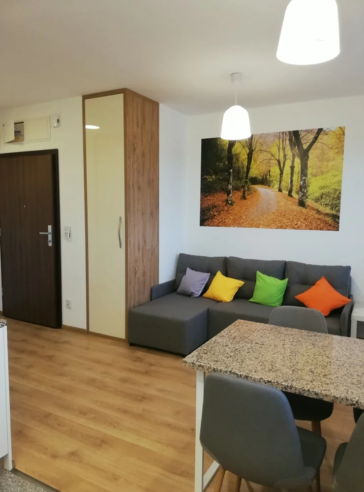 1 pokój, mieszkanie 27,00 m², piętro 7, oferta nr , 833876, Wrocław, Krzyki-Partynice, Krzyki