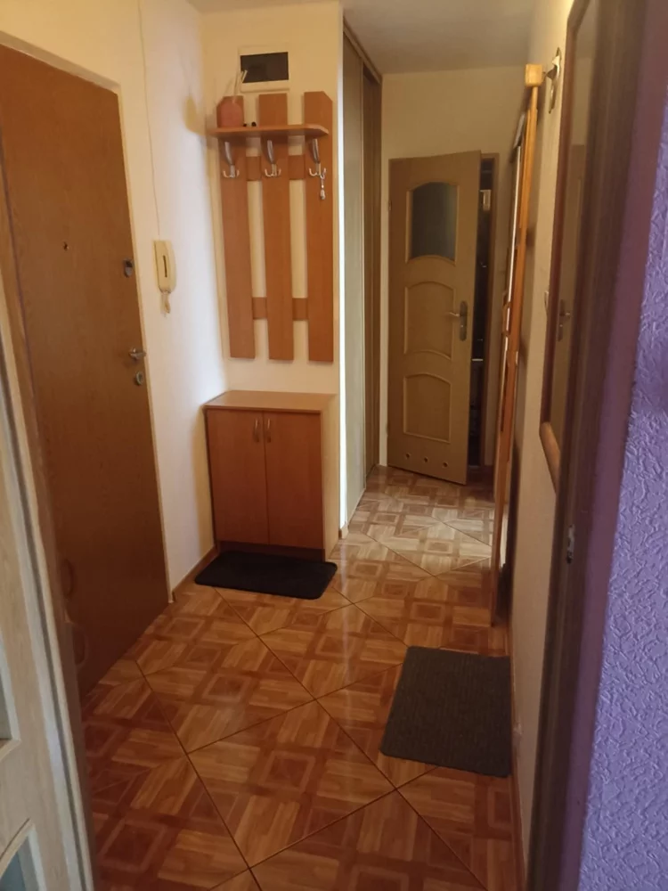 832529 - zdjęcie nr 3