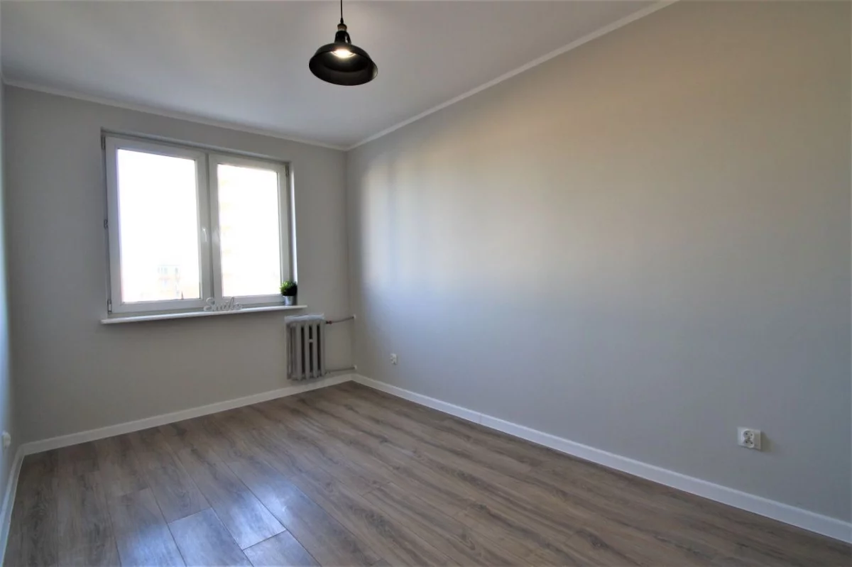 833573 - zdjęcie nr 3