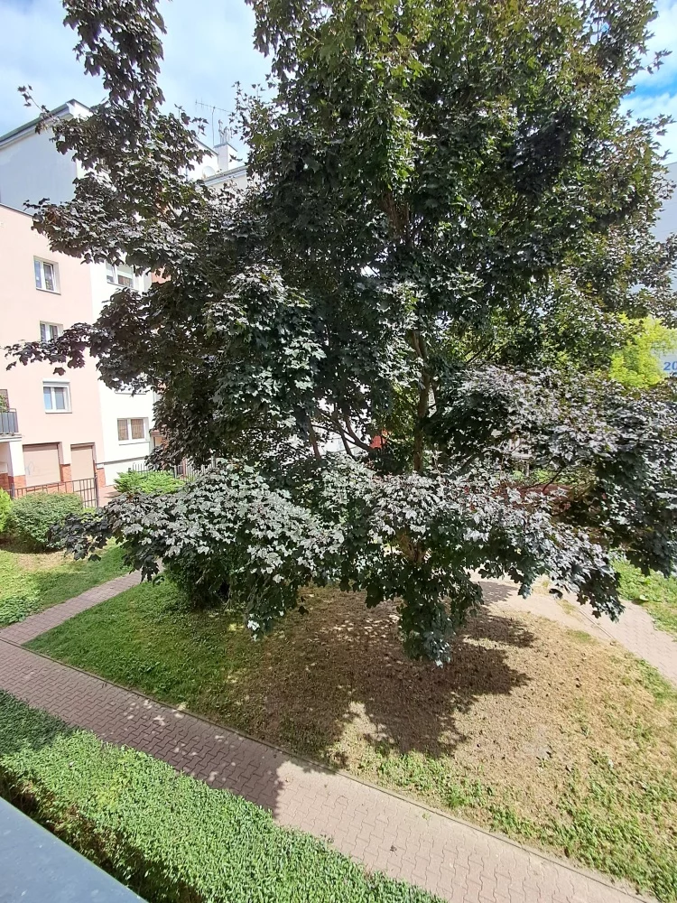 2 pokoje, mieszkanie 52,00 m², piętro 1, oferta nr , 833714, Lublin, Śródmieście, Śródmieście, Czwartek