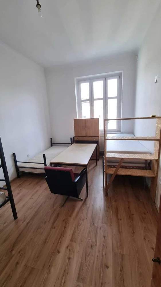 833975 - zdjęcie nr 0
