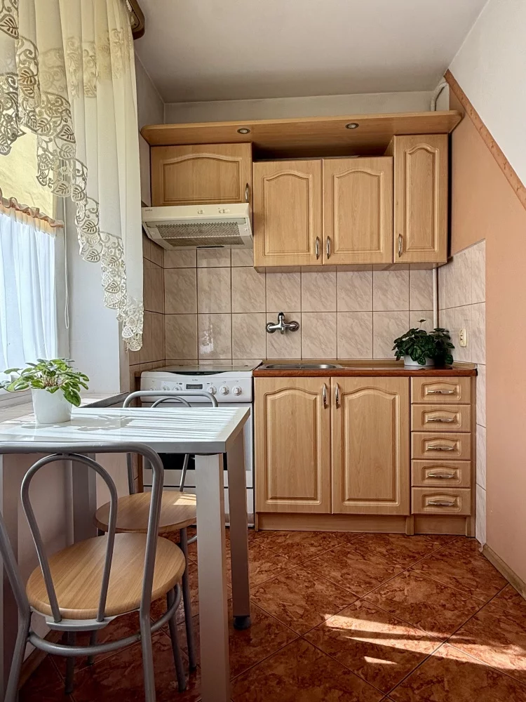 833652 - zdjęcie nr 3