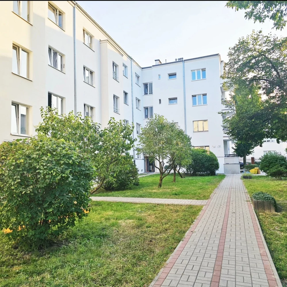832451 - zdjęcie nr 0