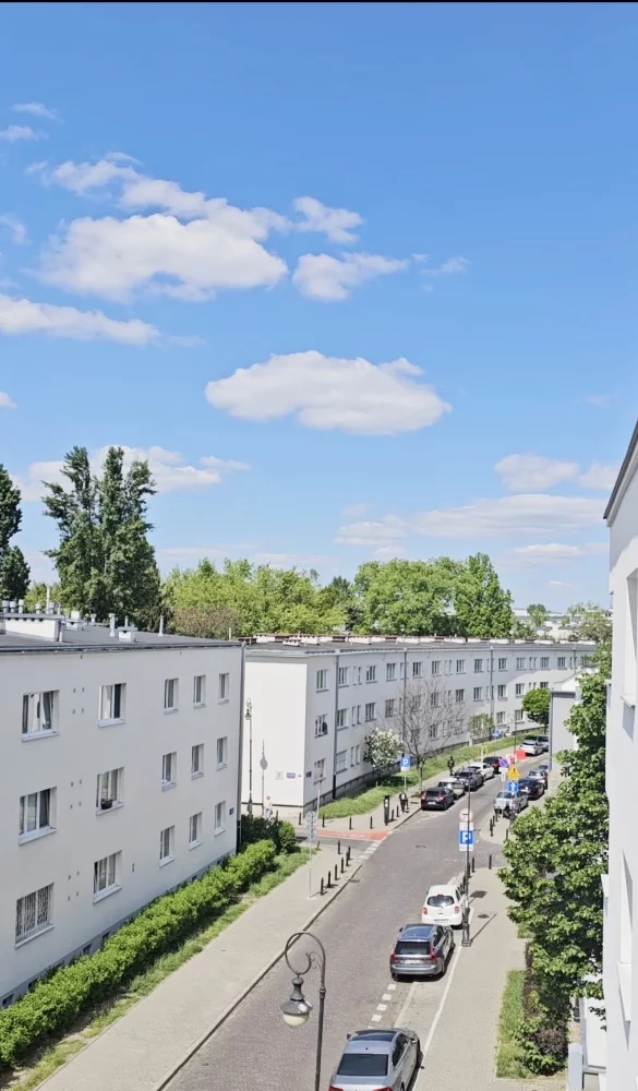 832451 - zdjęcie nr 4
