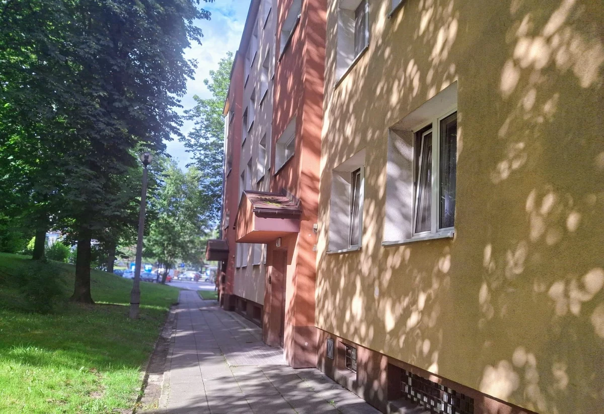 833513 - zdjęcie nr 4