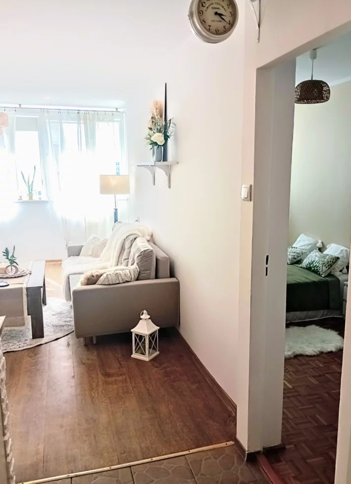 833141 - zdjęcie nr 2